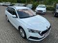Skoda Octavia Combi 2.0 TDI DSG LED DAB Winterpaket Weiß - thumbnail 34