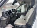 Ford Transit Kasten 2,0 EcoBlue AWD L2H2 350 Trend Weiß - thumbnail 5