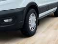 Ford Transit Kasten 2,0 EcoBlue AWD L2H2 350 Trend Weiß - thumbnail 10