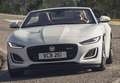 Jaguar F-Type Convertible 2.0 I4 R-Dynamic Aut. 300 - thumbnail 13