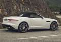 Jaguar F-Type Convertible 2.0 I4 R-Dynamic Aut. 300 - thumbnail 37