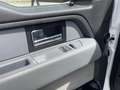Ford F 150 Todoterreno Automático de 2 Puertas Biały - thumbnail 17