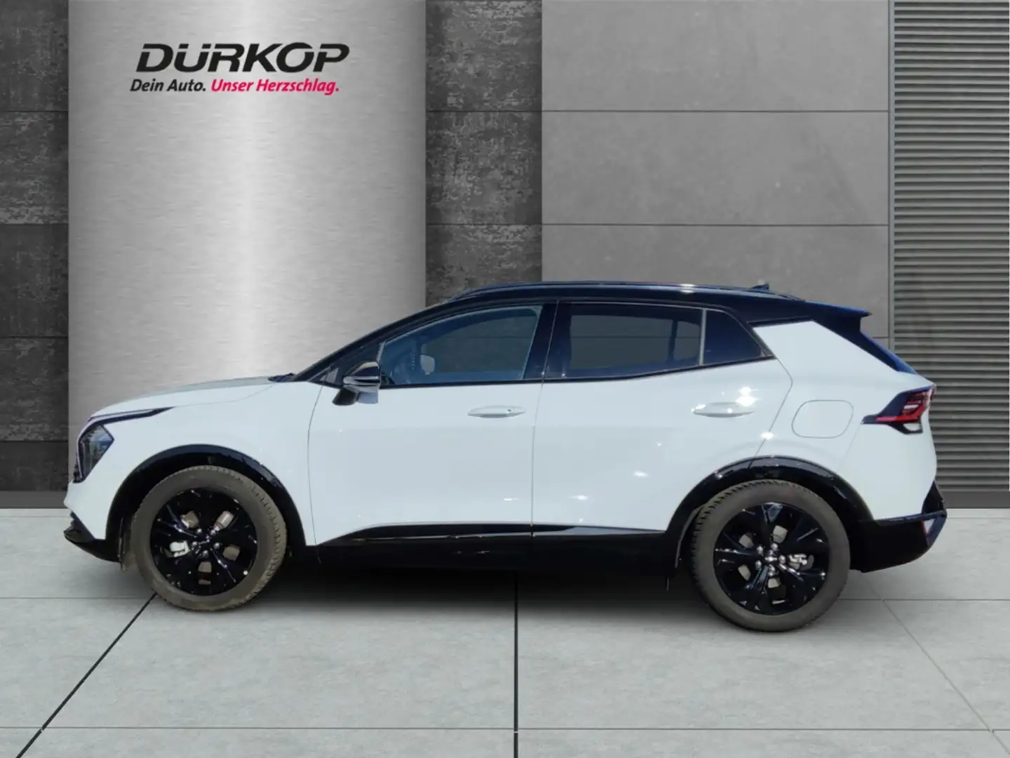 Kia Sportage Nightline Edition 1.6 T-GDI Mild-Hybrid Autom. Pan Wit - 2