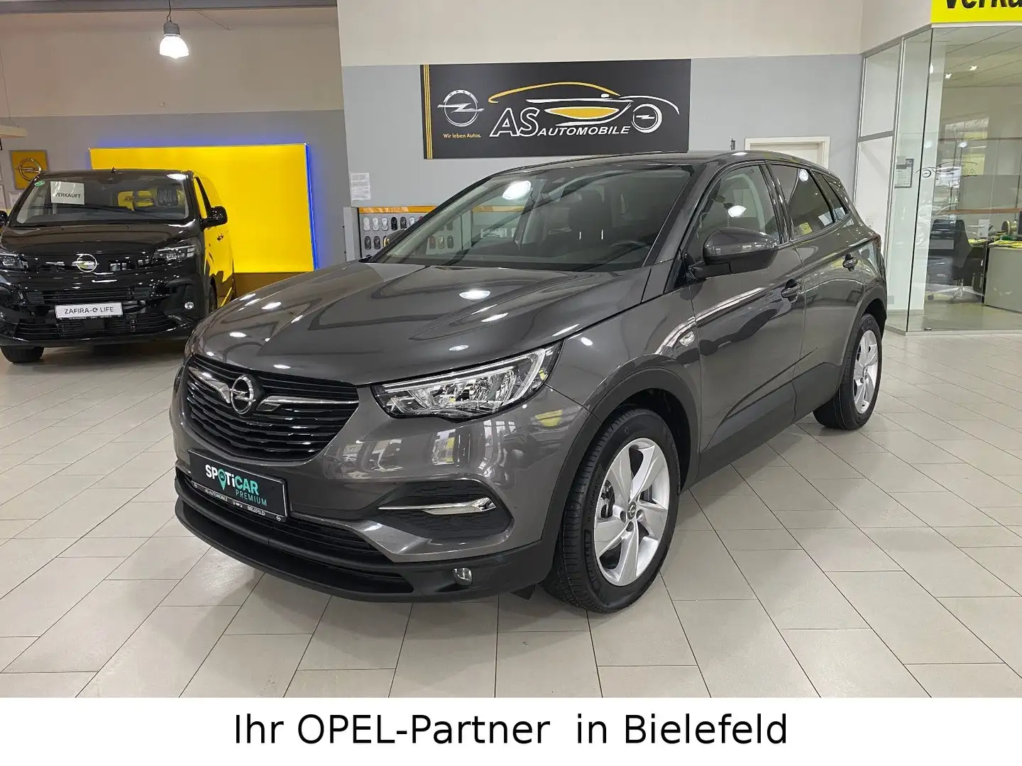 Opel Grandland X Grandland 2020 NAVI/SHZ/LHZ/LED/18"ALU/PDC/SOS Grau - 1