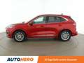 Ford Kuga 2.0 TDCi EcoBlue Vignale Aut. *HUD*ACC*SPUR*B&O* Rot - thumbnail 3