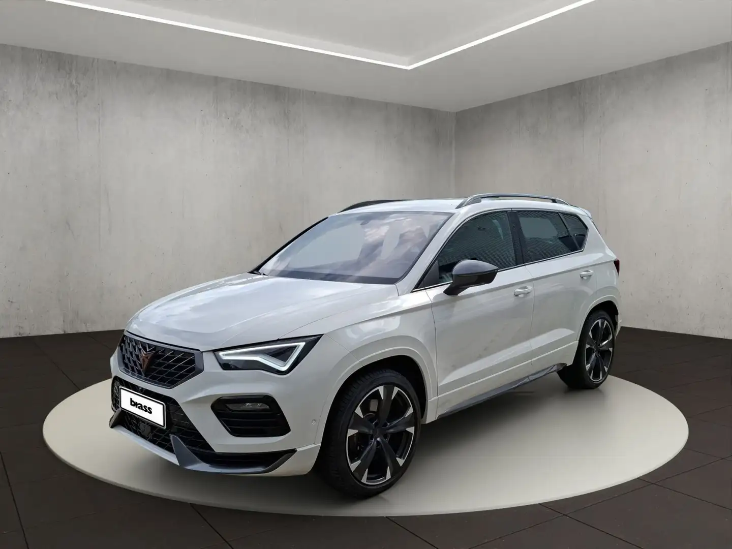 CUPRA Ateca 2.0 TSI VZ 4Drive 360 Kamera Navigation Weiß - 1
