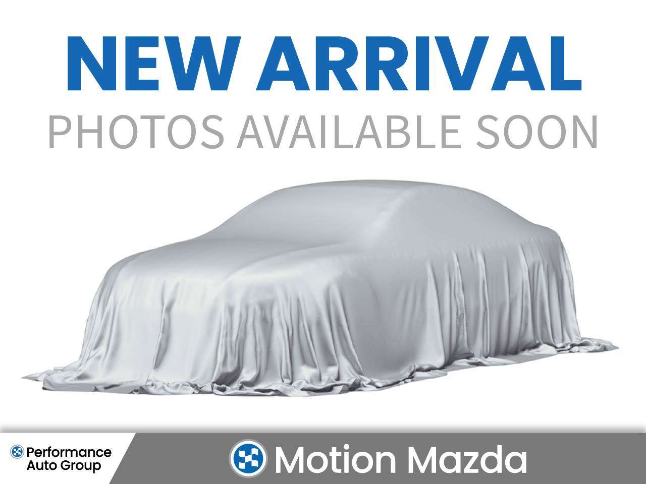 Image 19
