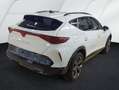 CUPRA Formentor 1.5 eTSI DSG|360°|Navi|SHZ|GJR Weiß - thumbnail 2