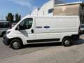 Peugeot Boxer 330 2.0 BlueHDi 130CV PC-TN Furgone Bianco - thumbnail 12