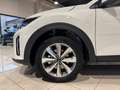 Kia Stonic 1.2 MPI Style PREZZO REALE OK NEOPATENTATI Белый - thumbnail 20