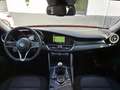 Alfa Romeo Giulia 2.2 JTDm - NAVI - DNA - GARANTIE Rojo - thumbnail 13