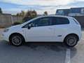 Fiat Punto PUNTO 1.2 8V 69 POP VO:547 Blanc - thumbnail 3