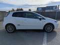 Fiat Punto PUNTO 1.2 8V 69 POP VO:547 Blanc - thumbnail 5