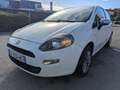 Fiat Punto PUNTO 1.2 8V 69 POP VO:547 Blanc - thumbnail 4