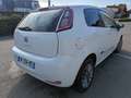 Fiat Punto PUNTO 1.2 8V 69 POP VO:547 Blanc - thumbnail 6