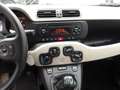 Fiat Panda 1.2 NEOPATENTATI - CINGHIA OK Blau - thumbnail 11