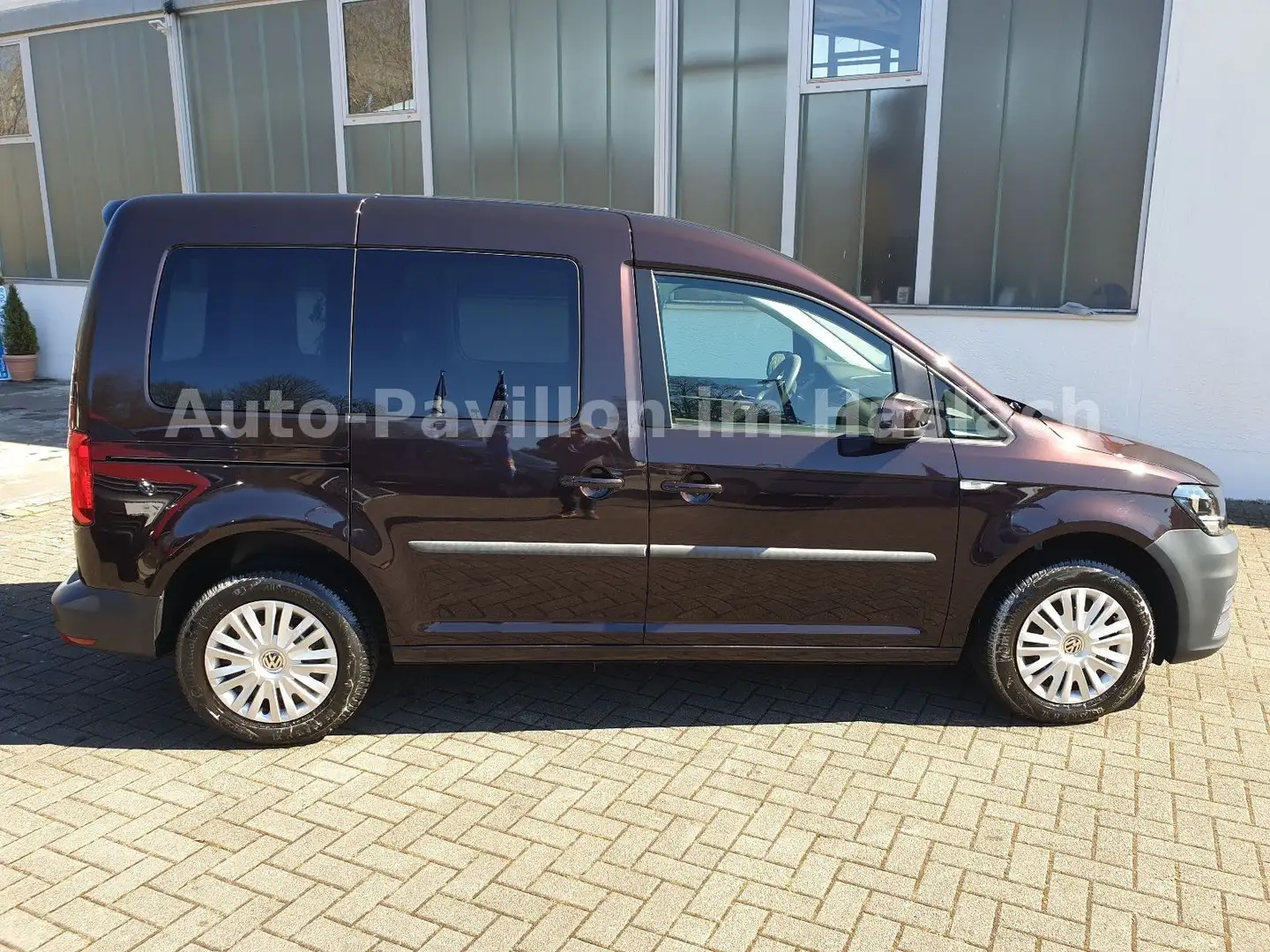 Volkswagen Caddy 1.0 TSI Trendline Klima Zusatzheizung FB Violett - 1