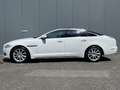 Jaguar XJ 3.0 V6D 275pk Premium Luxury Automaat | Leder | Xe Wit - thumbnail 2
