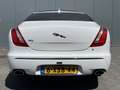 Jaguar XJ 3.0 V6D 275pk Premium Luxury Automaat | Leder | Xe Wit - thumbnail 5