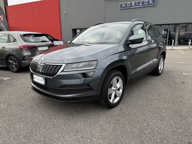 Skoda Karoq 2.0 tdi evo Executive 115cv dsg