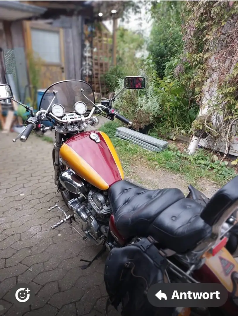 Yamaha XV 750 virago Gold - 2
