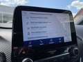 Ford Puma ST-LINE VIGNALE Hybrid Automatik, AHK+1.HAND+GARAN Gris - thumbnail 15