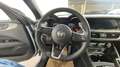 Alfa Romeo Stelvio 2.2 TD 210cv AT8 Q4 Veloce #TETTO #VARI COLORI Gri - thumbnail 12