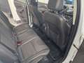 Ford Kuga Individual,NAVI,Pano.Dach,XENON,T-Leder,AHK Blanc - thumbnail 27