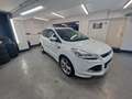 Ford Kuga Individual,NAVI,Pano.Dach,XENON,T-Leder,AHK Blanc - thumbnail 12