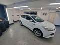 Ford Kuga Individual,NAVI,Pano.Dach,XENON,T-Leder,AHK Blanc - thumbnail 14