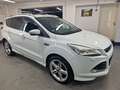 Ford Kuga Individual,NAVI,Pano.Dach,XENON,T-Leder,AHK Blanc - thumbnail 11