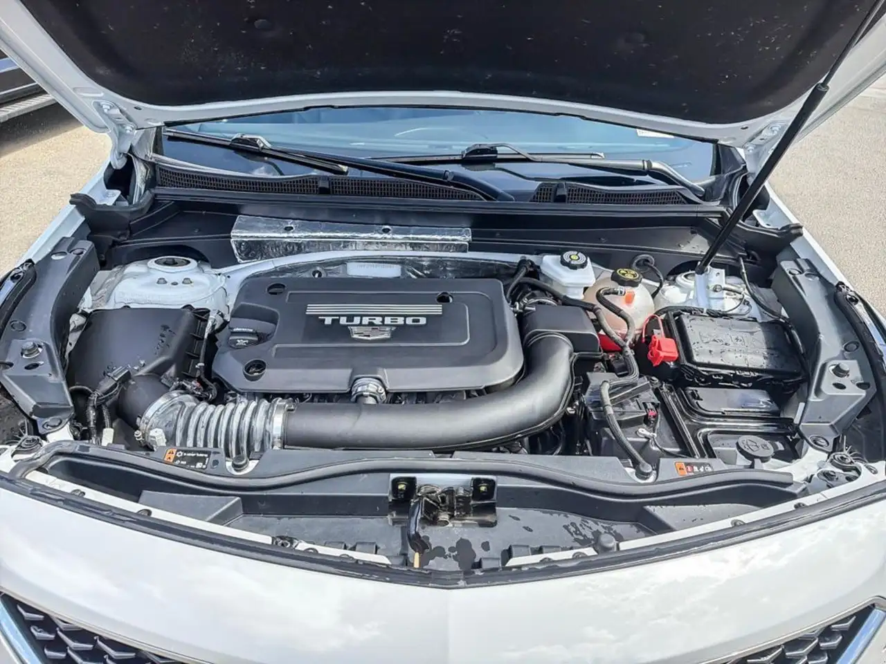 Cadillac XT4 снимка Cadillac XT4