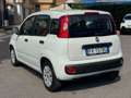 Fiat Panda 2016 1.2 Easy Bianco - thumbnail 4