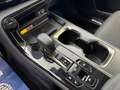 Lexus NX 300h NX Hybrid 4WD Premium + Orange - thumbnail 9