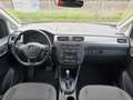 Volkswagen Caddy Maxi Comfortline 1,4 TGI DSG 7-Sitzer XENON Rot - thumbnail 3