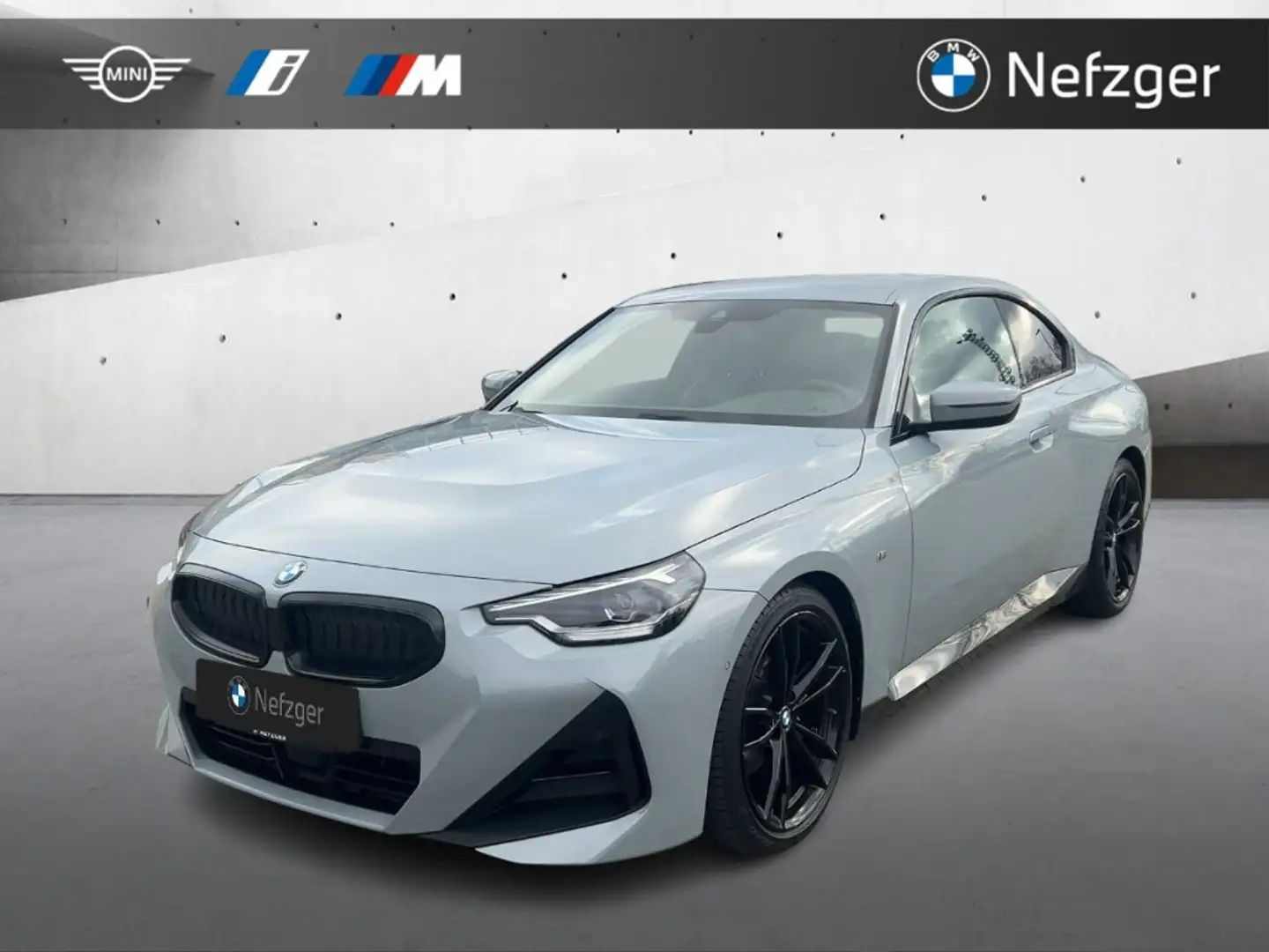 BMW 220 i Coupe M Sport Park-Assistent HiFi Grau - 1