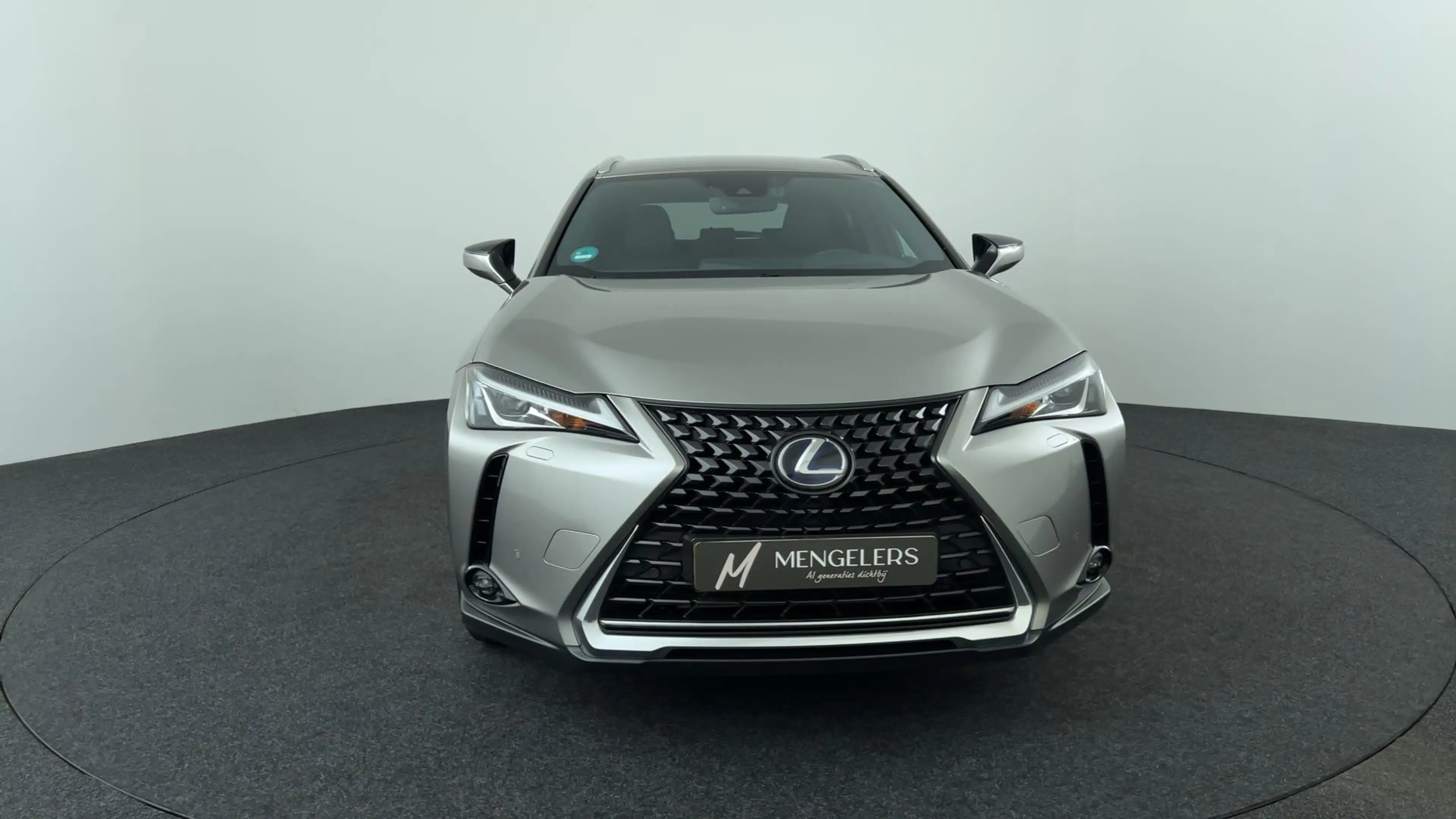 Lexus UX 250h Preference Line — photo 8