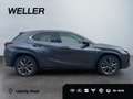 Lexus UX 300h F SPORT Design *Navi*LED*CarPlay*CAM*TWA* Gri - thumbnail 9