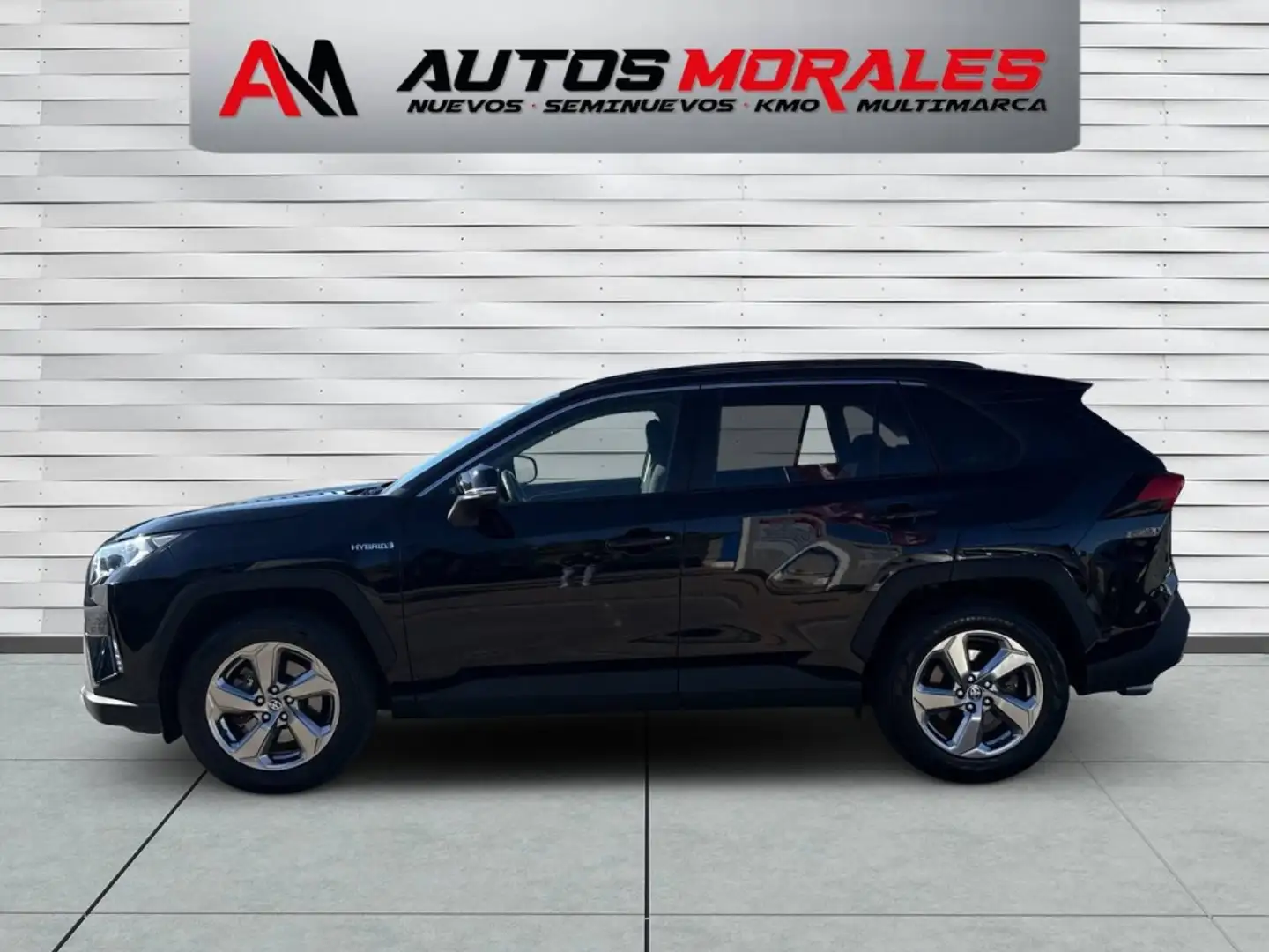 Toyota RAV 4 2.5 hybrid 2WD Advance Plus Bleu - 2