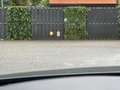 Mazda 3 2.0 e-SkyActiv-G M Hybrid 122 Luxury Navi Bose Cam Gris - thumbnail 20
