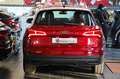 Audi Q5 2.0 TDI 190cv Quattro S-Tronic Business - PELLE Rojo - thumbnail 4