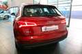 Audi Q5 2.0 TDI 190cv Quattro S-Tronic Business - PELLE Rojo - thumbnail 8