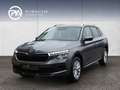 Skoda Kamiq Selection TSI DSG Grau - thumbnail 1