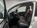 Fiat Panda 1.0 FireFly S&S Hybrid Bianco - thumbnail 6