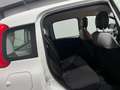 Fiat Panda 1.0 FireFly S&S Hybrid Bianco - thumbnail 11