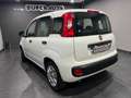 Fiat Panda 1.0 FireFly S&S Hybrid Bianco - thumbnail 2