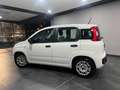 Fiat Panda 1.0 FireFly S&S Hybrid Bianco - thumbnail 5