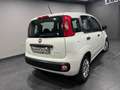 Fiat Panda 1.0 FireFly S&S Hybrid Bianco - thumbnail 4