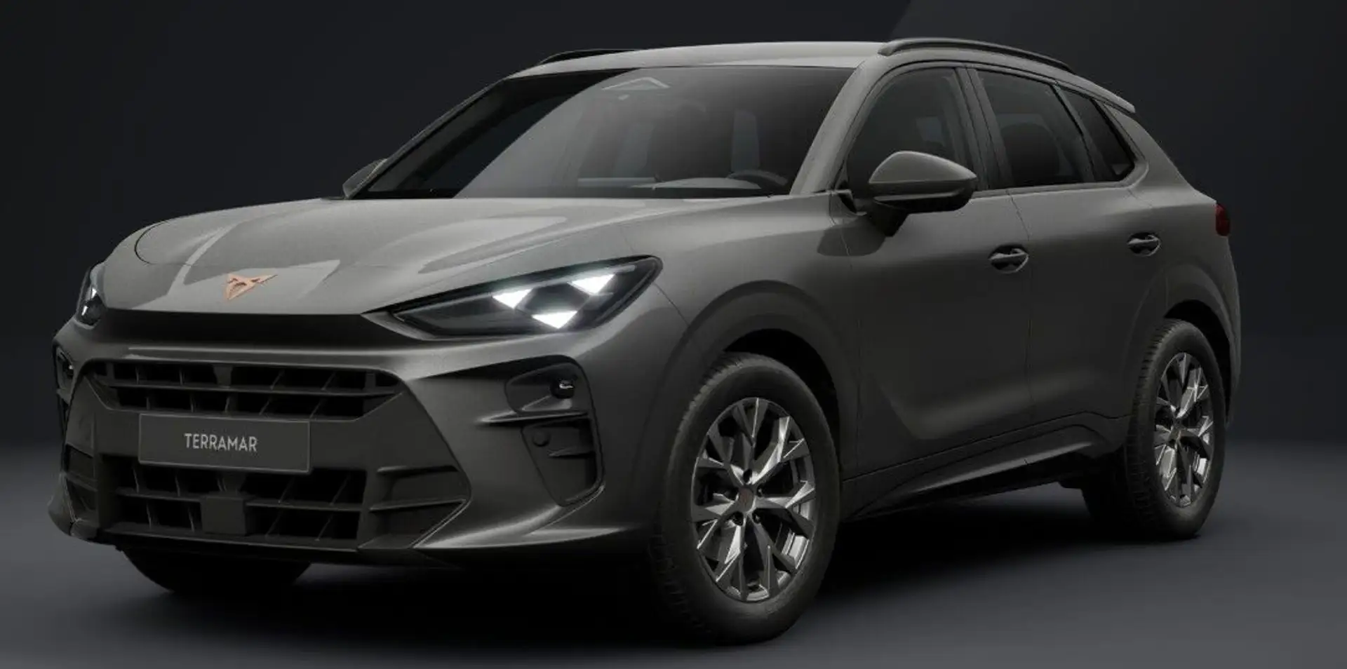 CUPRA Terramar 1.5 eTSI MHEV 110kW DSG/AHK/ACC/HEAD-UP Grau - 1