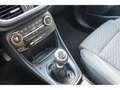 Ford Puma 1.0 Titanium MHEV Winterpaket AHZV Kamera Zwart - thumbnail 11